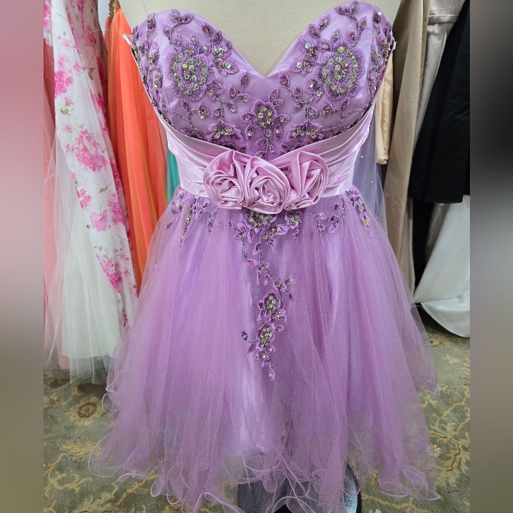 Lavender Embellished Tulle Dress